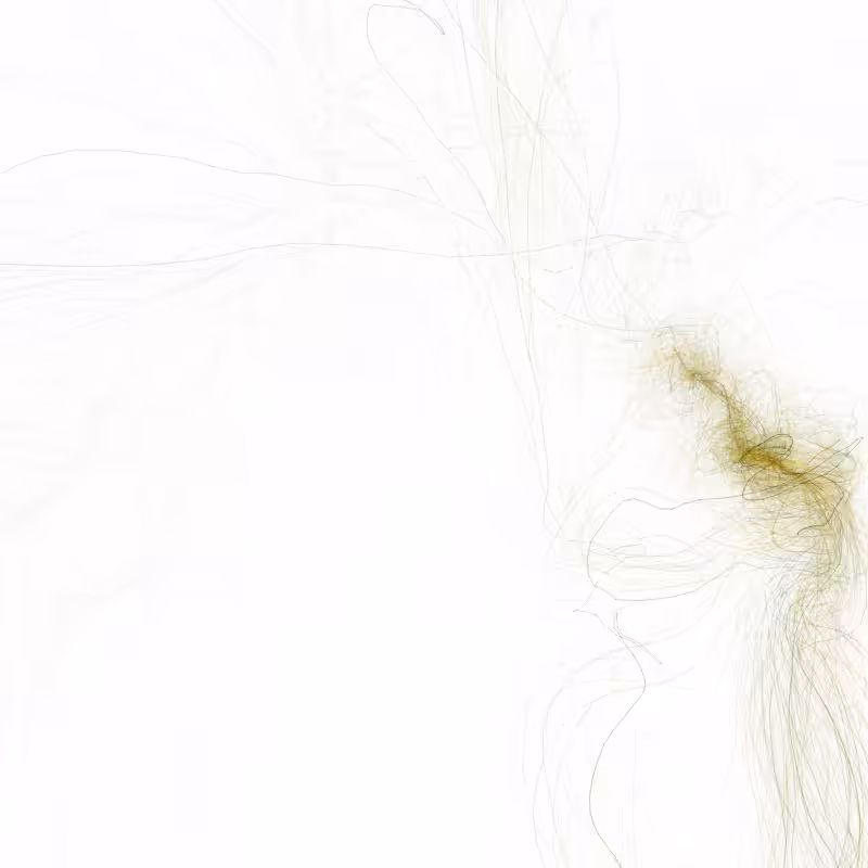 Hypericum #89