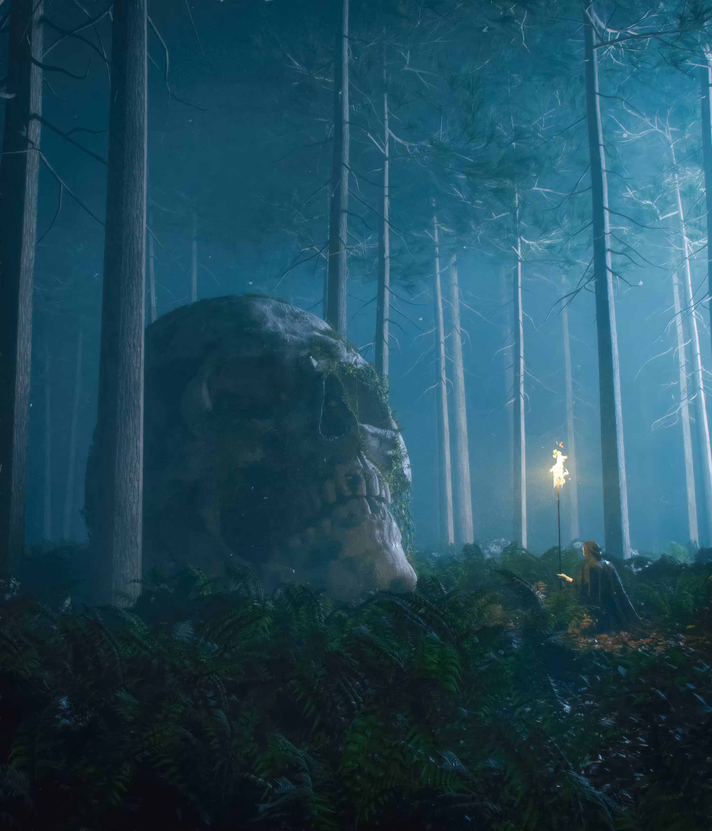 HIDDEN IN THE WOODS