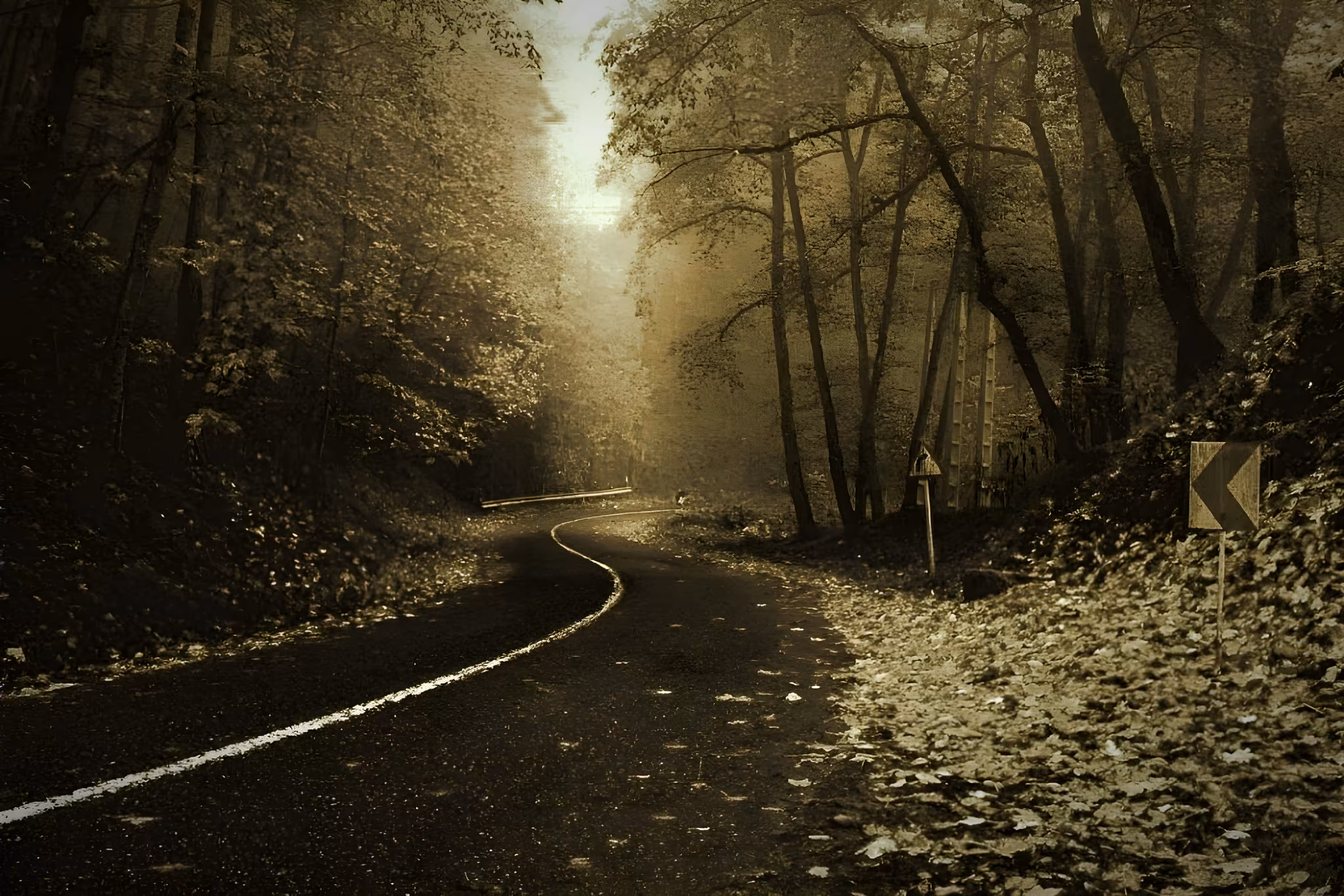The path of peace