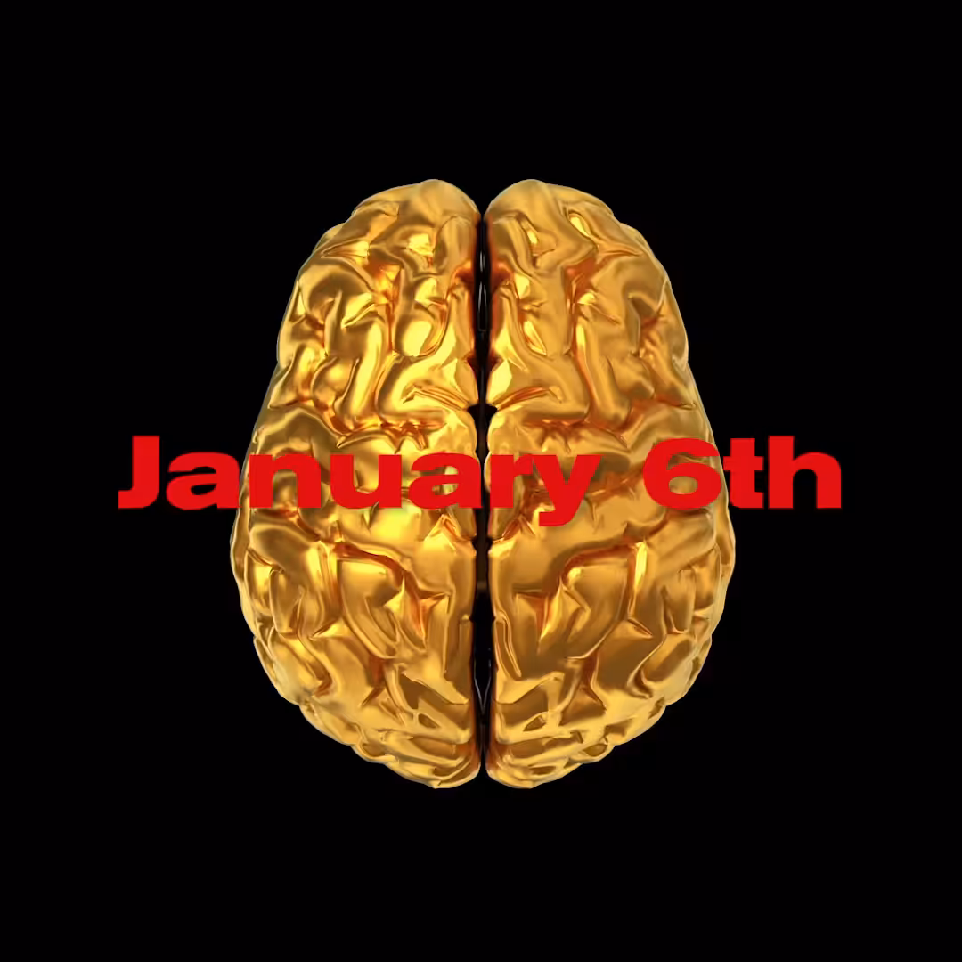 "January 6th - This is your brain on Trump. Any questions"