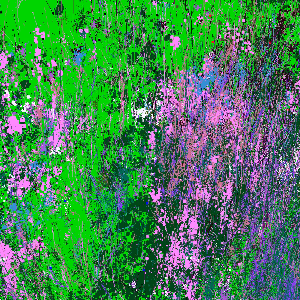 Infinite Garden: 57308 Flowers