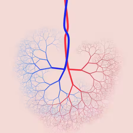capillary trees #17