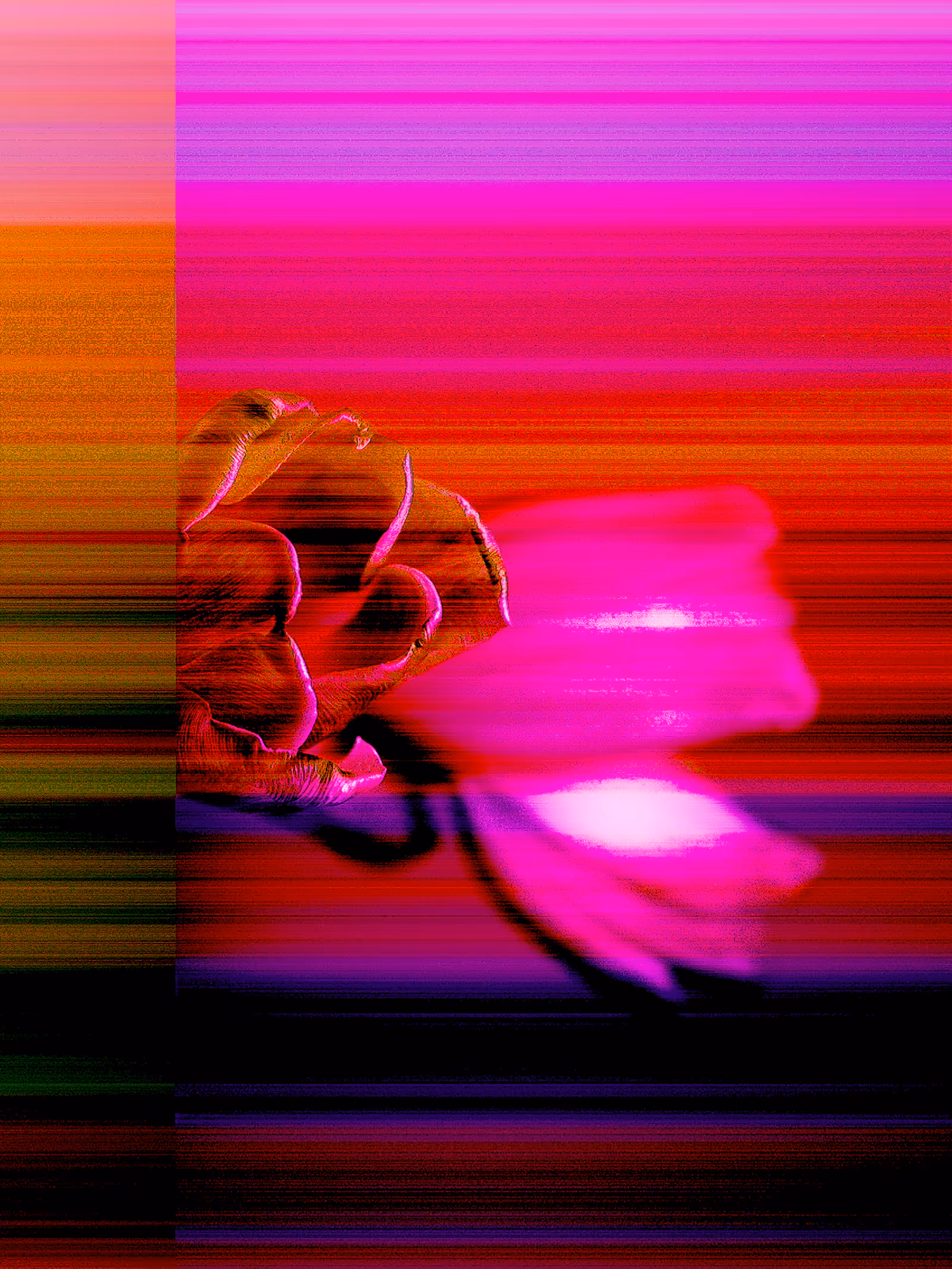 Echoes of Spring
