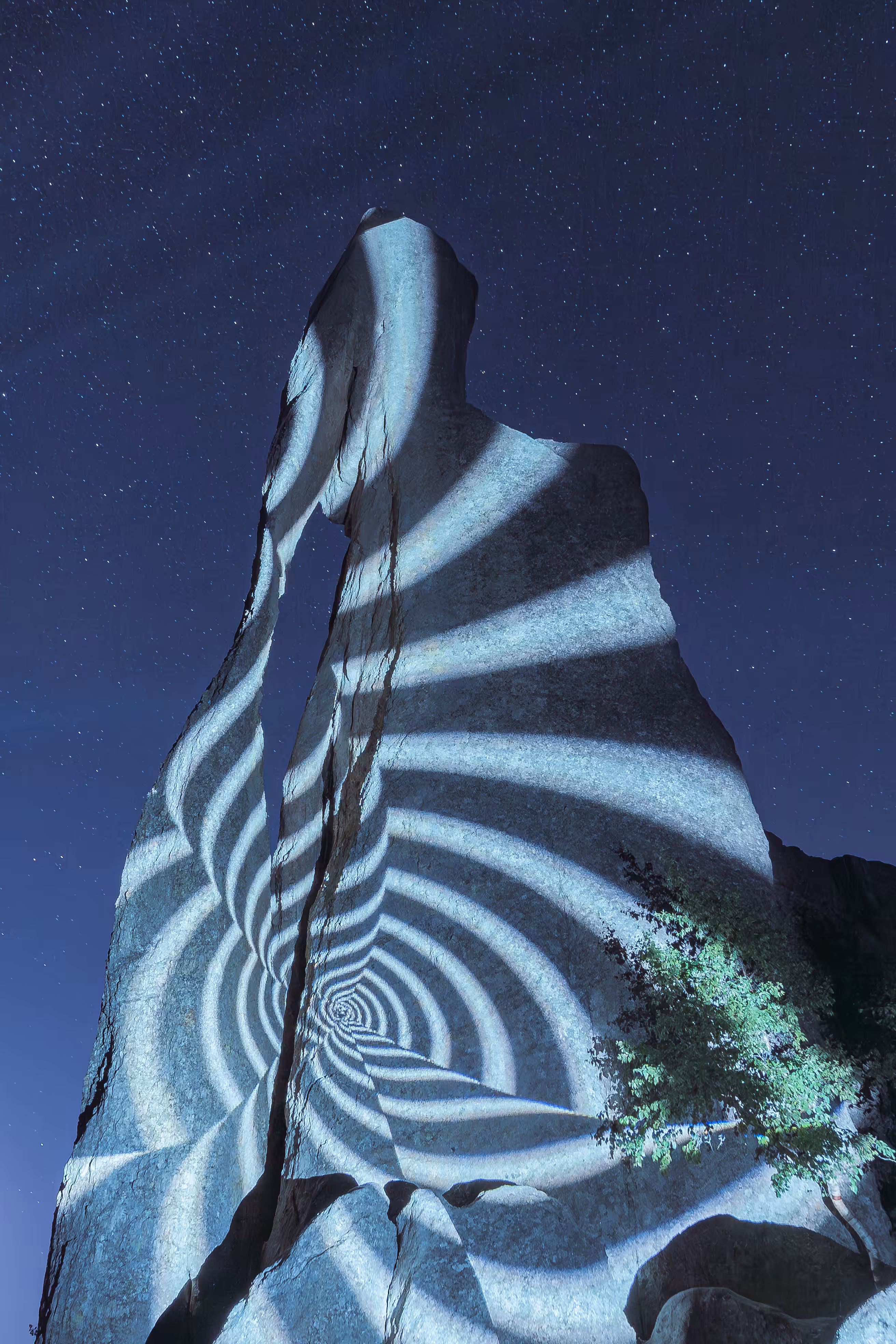 Something Beautiful is Dying: Needle