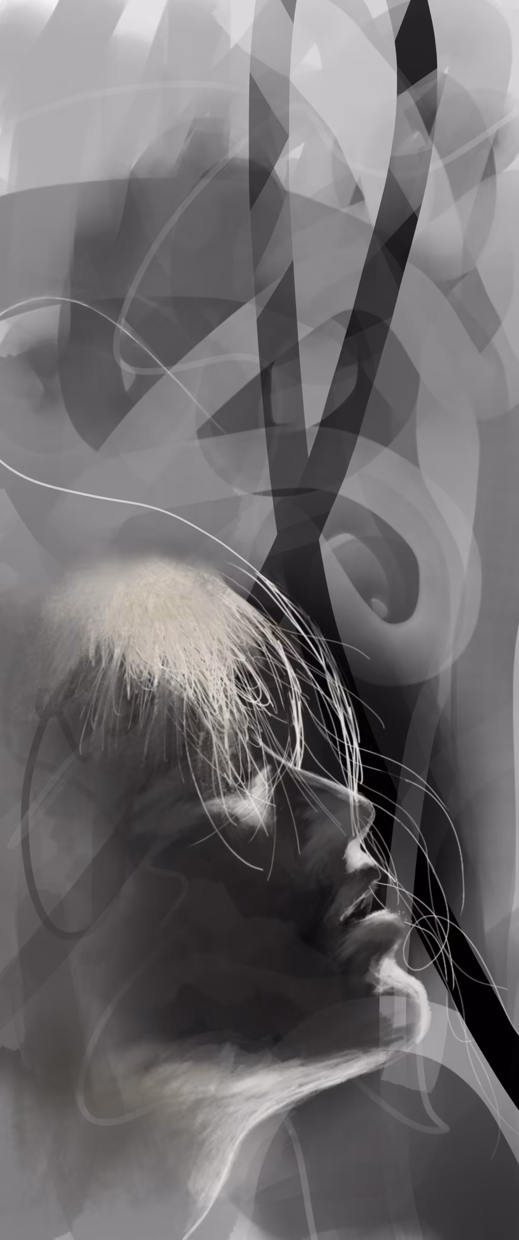 Impression