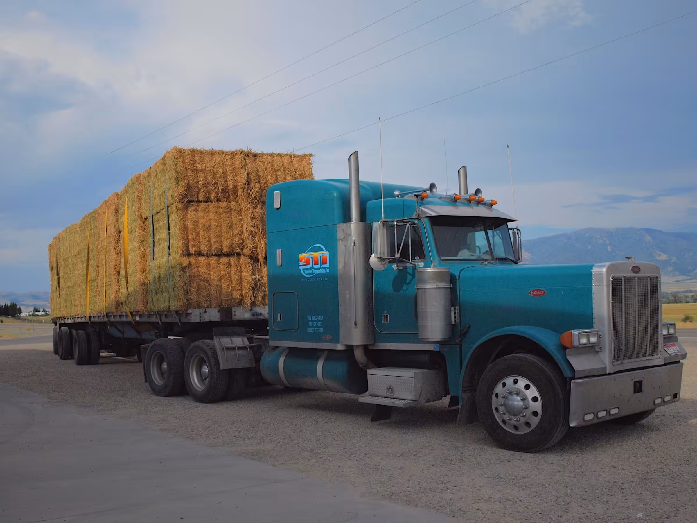 A Giant Vehicle