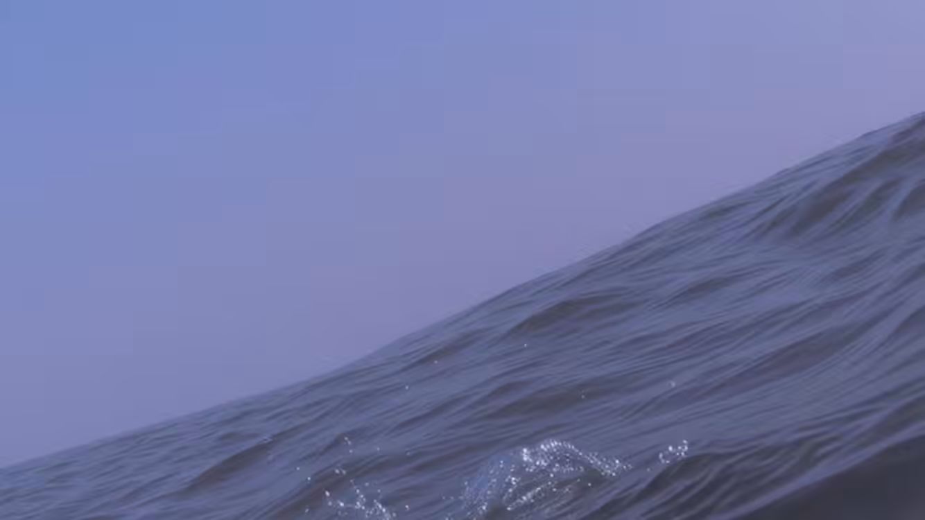 Phase Naütilus ▽