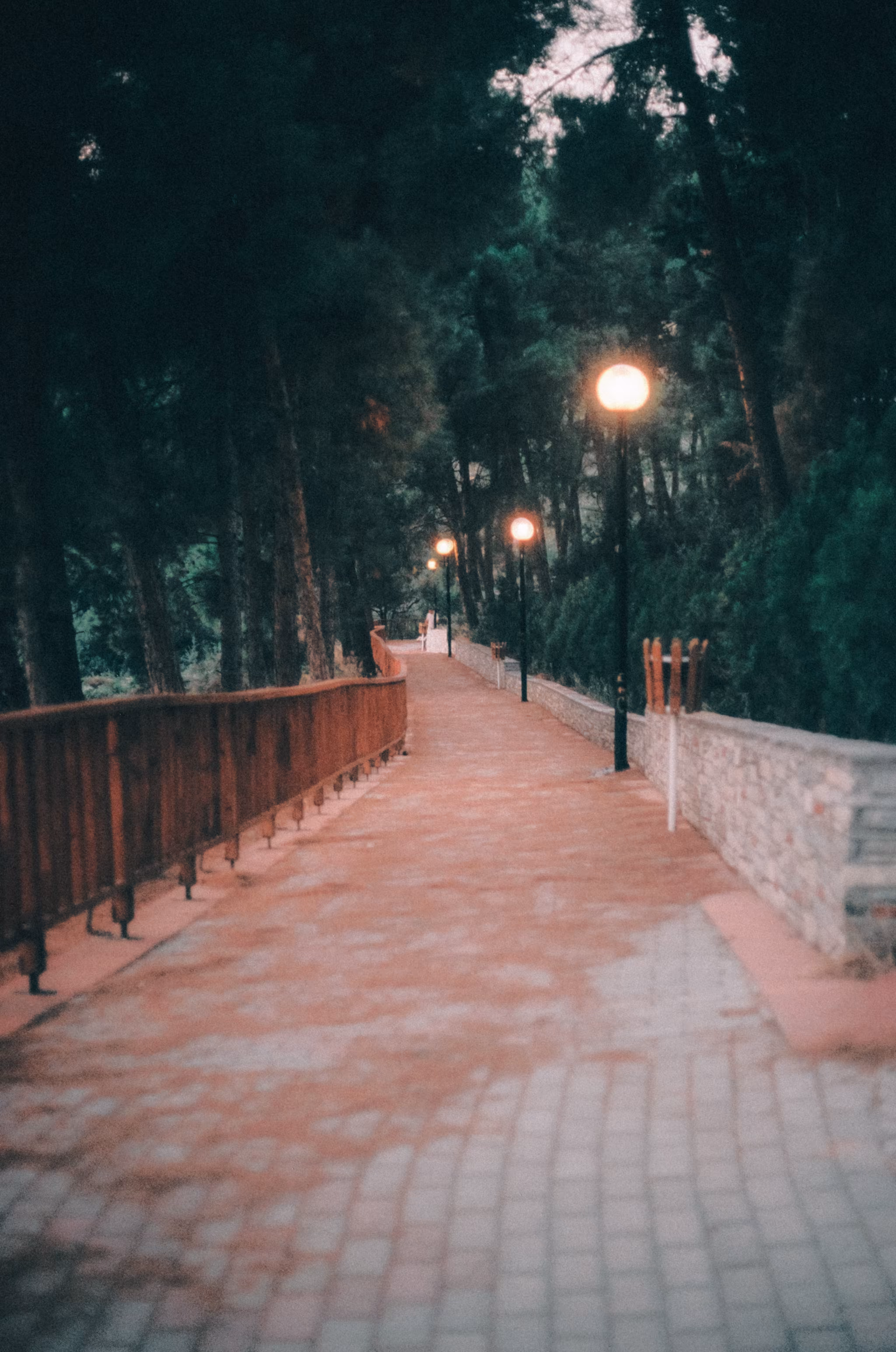 Inevitable Frames: Twilight Path