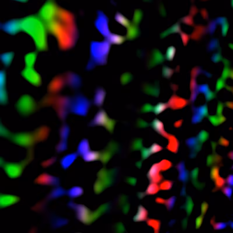 Quantum #18