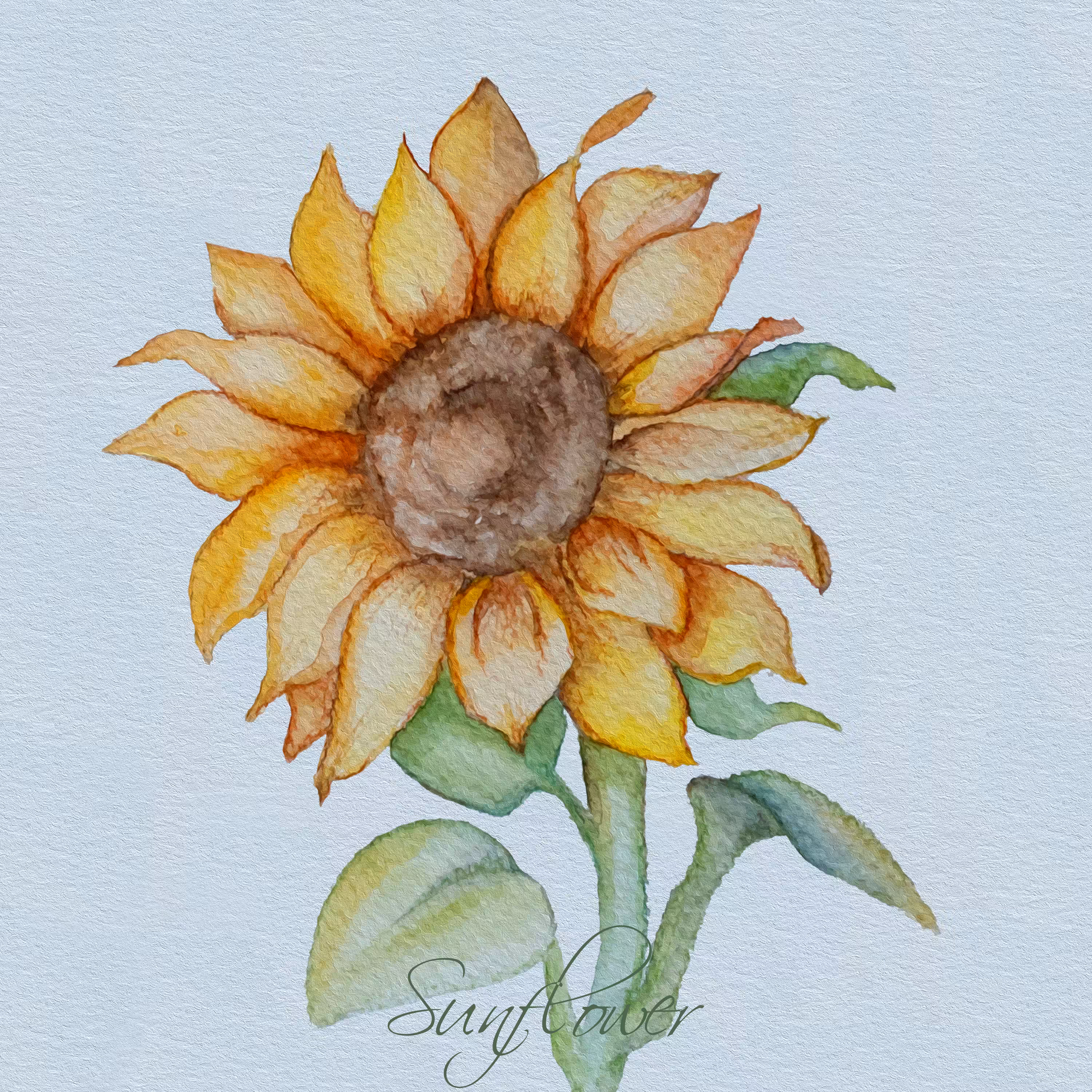 Sunflower (watercolor)