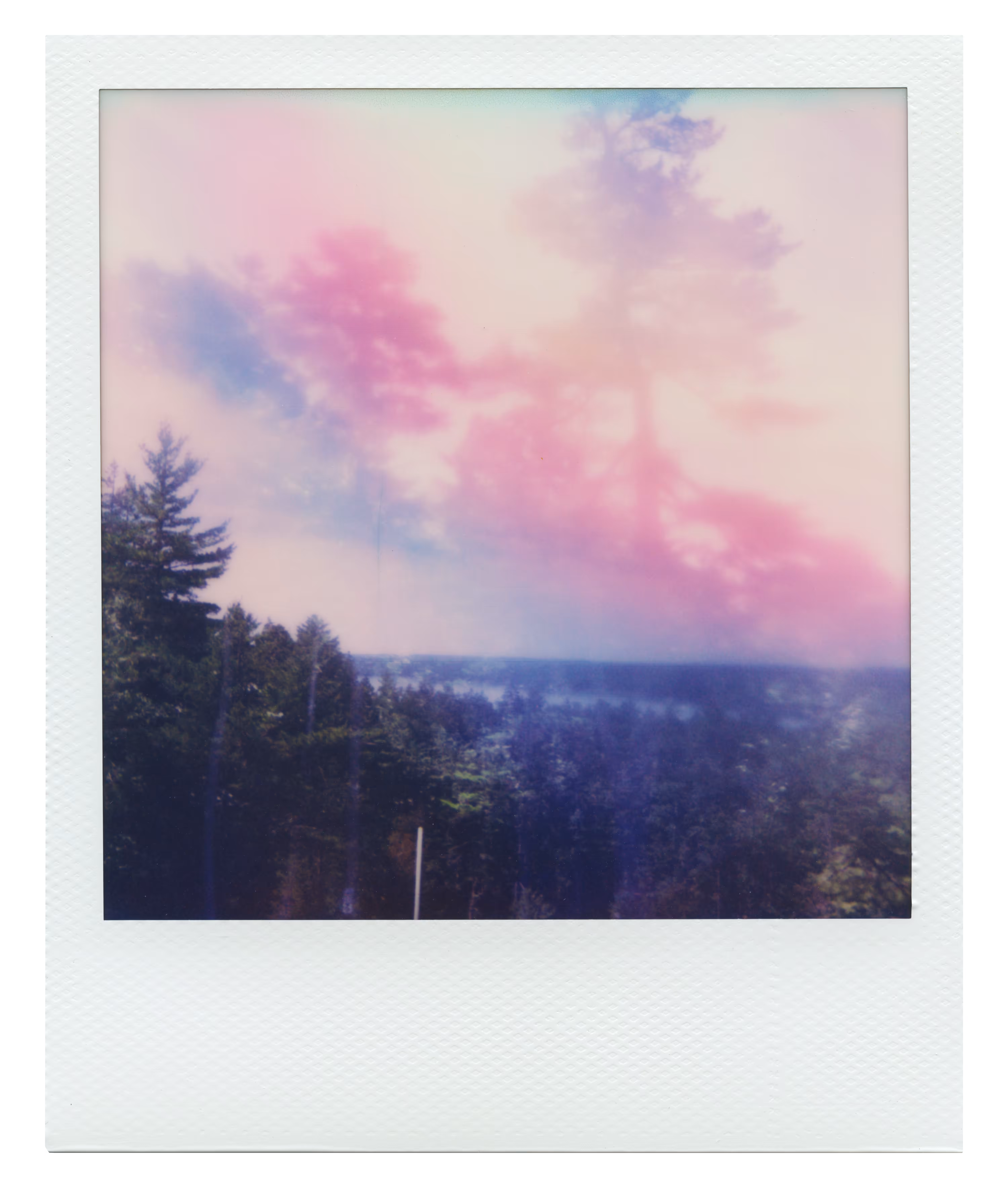 Endless Summer  |  48  | Manifestation