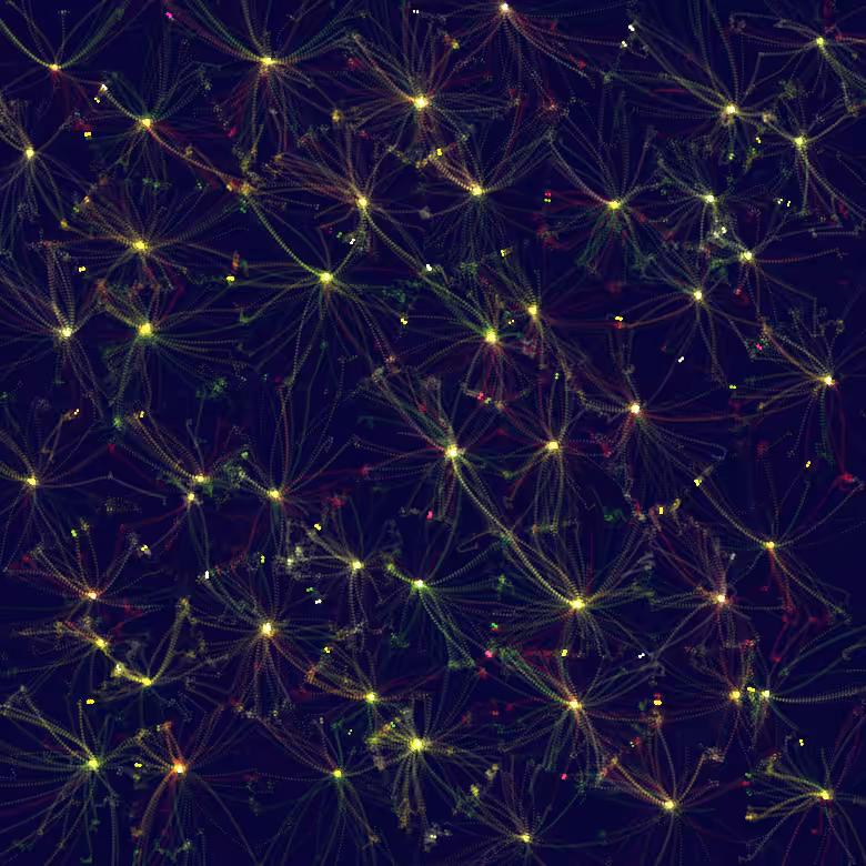 Connections - v2 #75