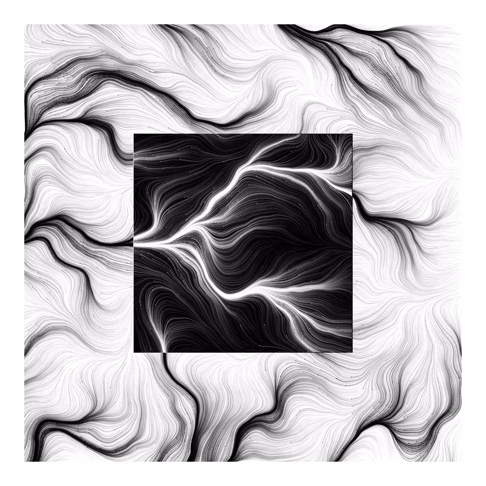 Optic Fibre in Monochrome