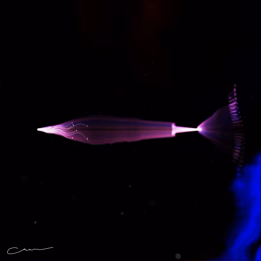 SoulFish #274