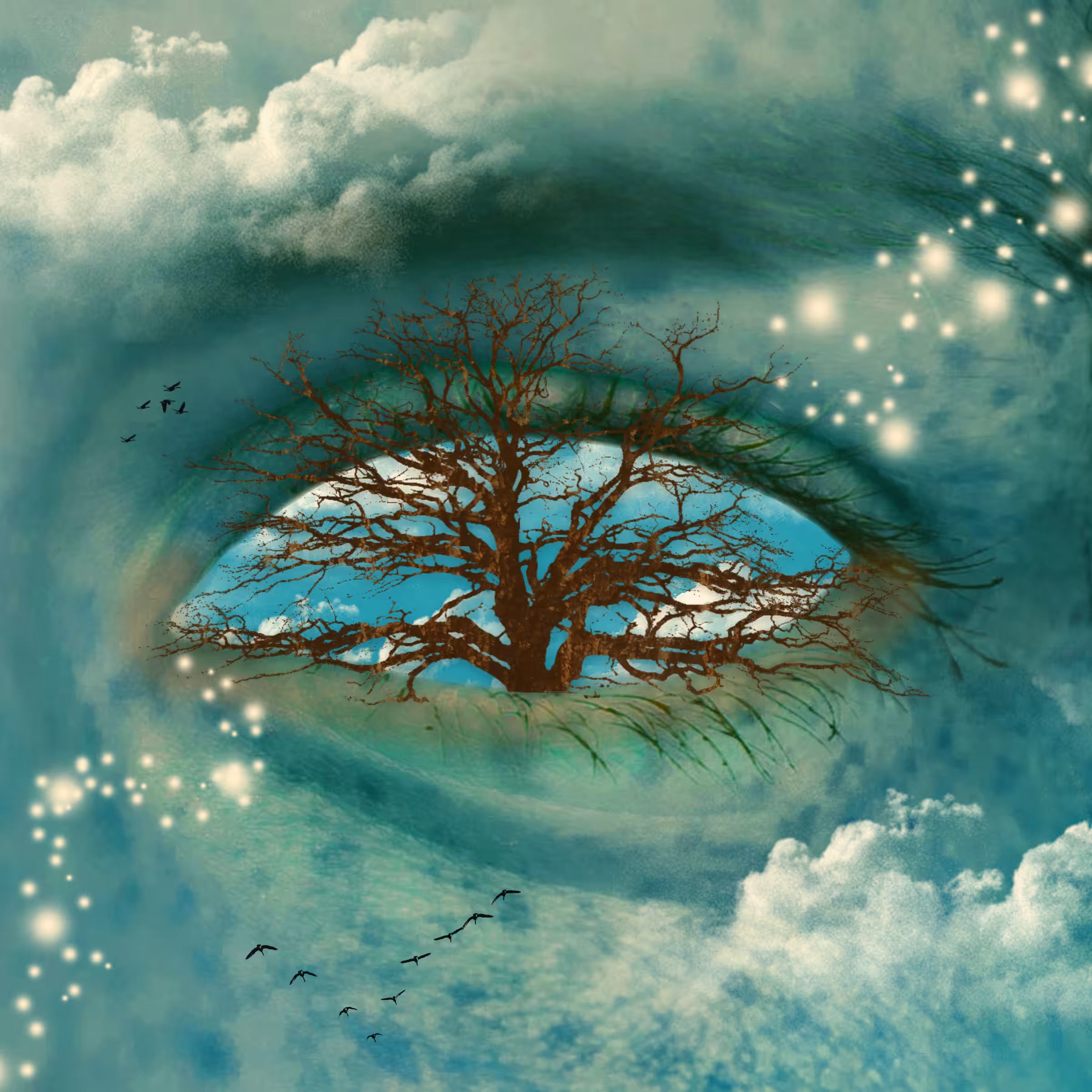 Rooted