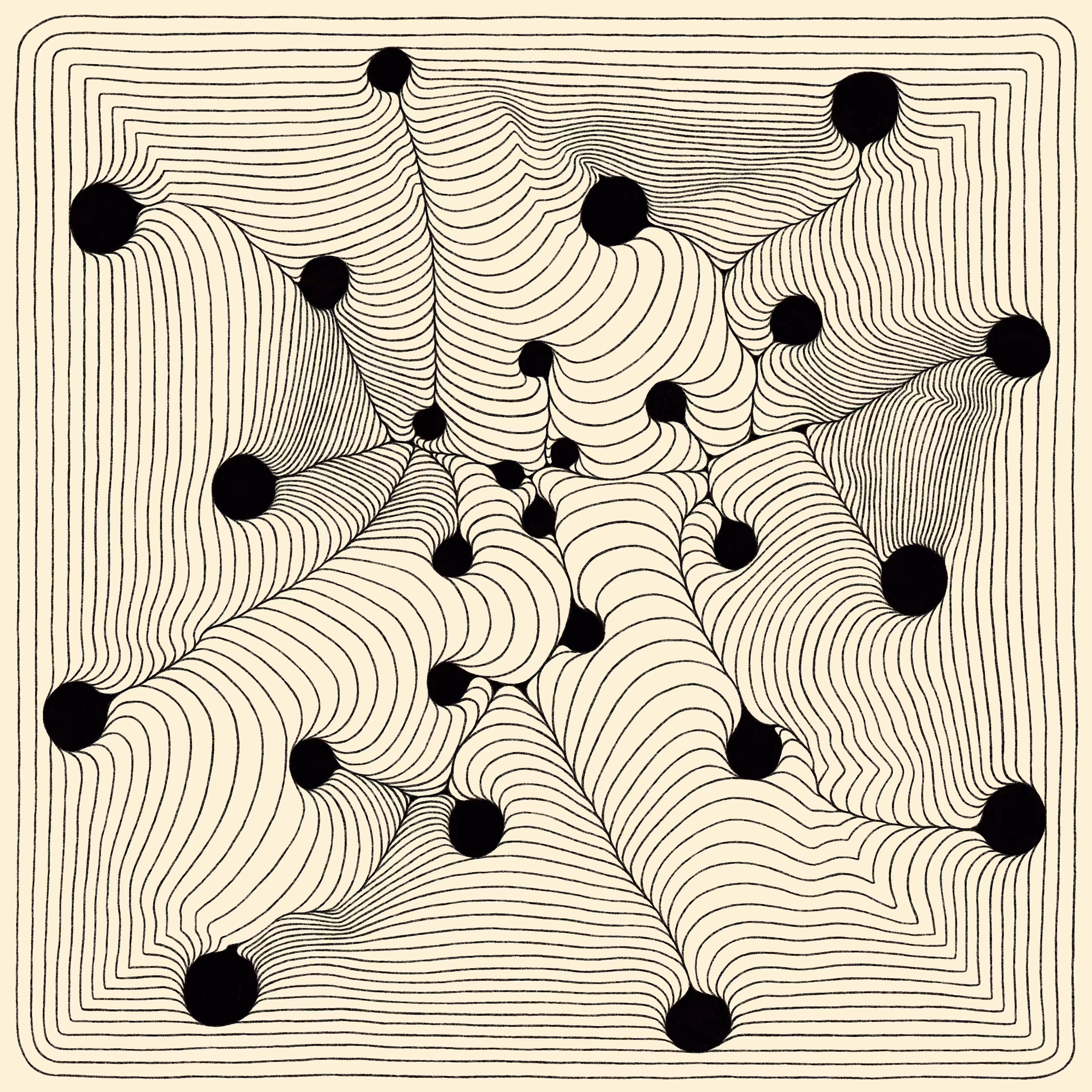 Field 4