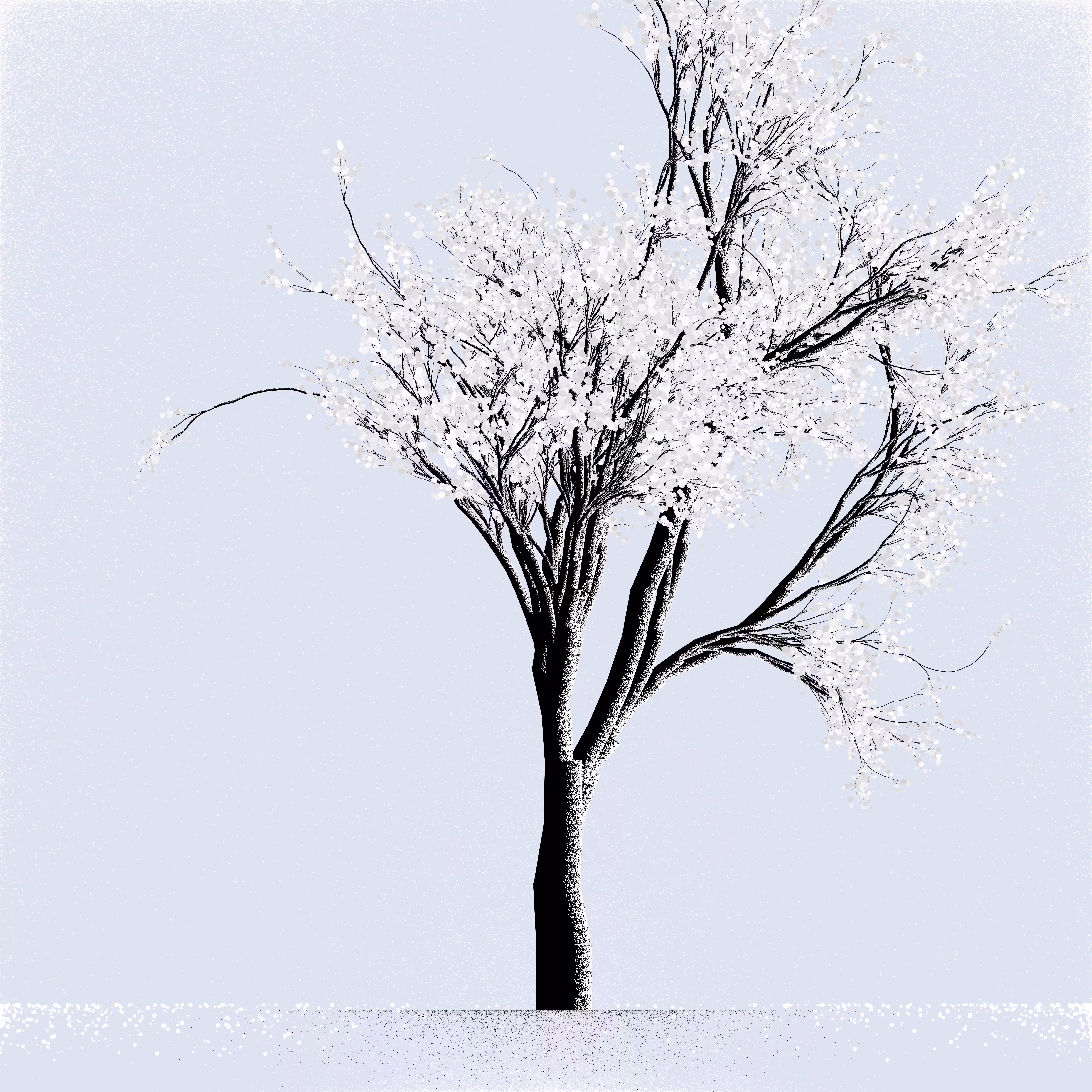 Snow Tree #42