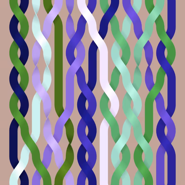 Endless Braids #61