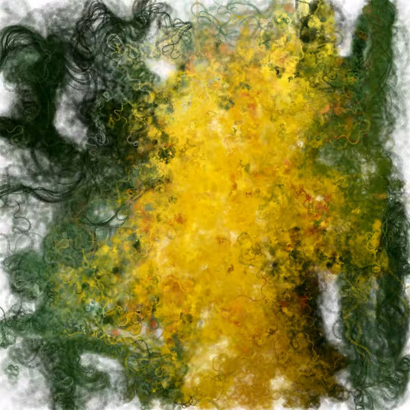 Hypericum #212