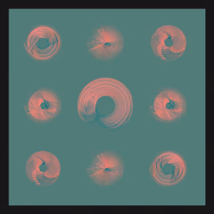 Spiny Spinners #45