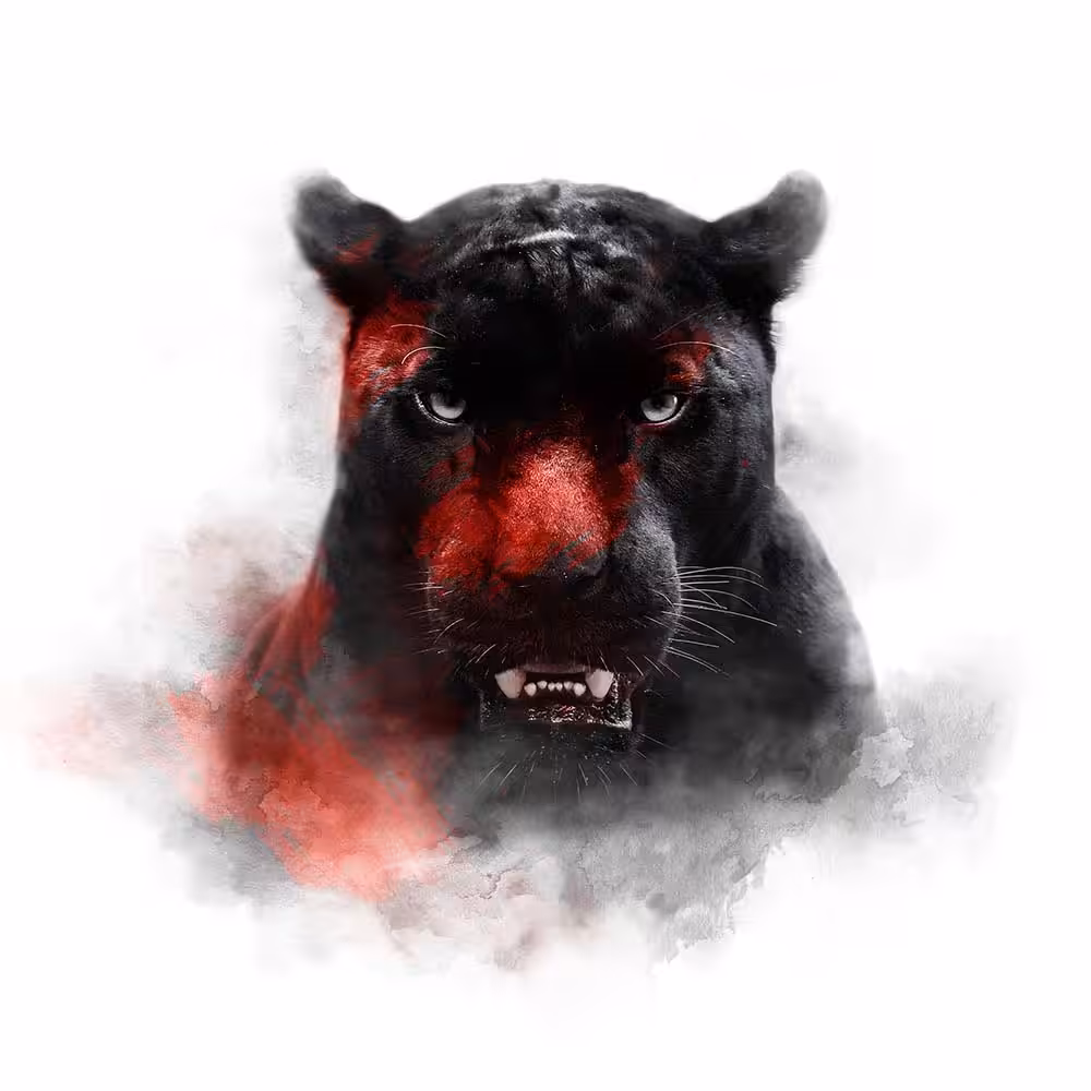 RED SERIES - BLACK PANTHER