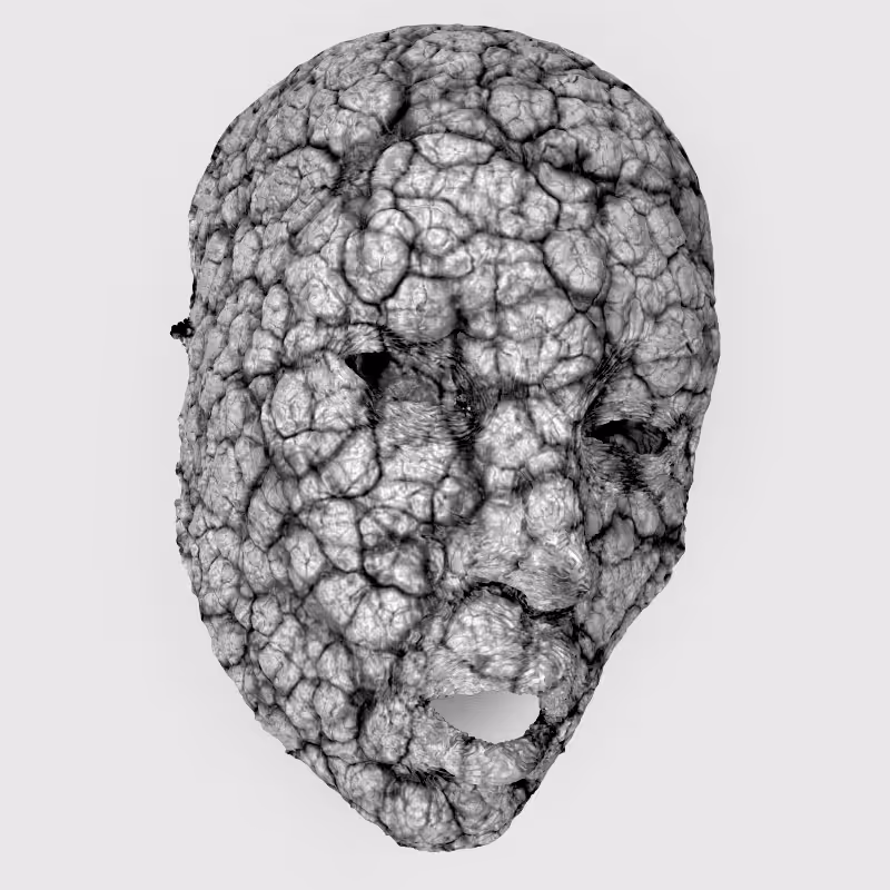 Minima Monochromy Mask #25