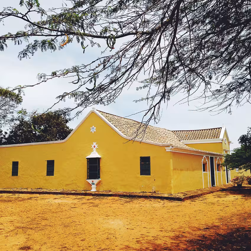 Paraguana Colors #6