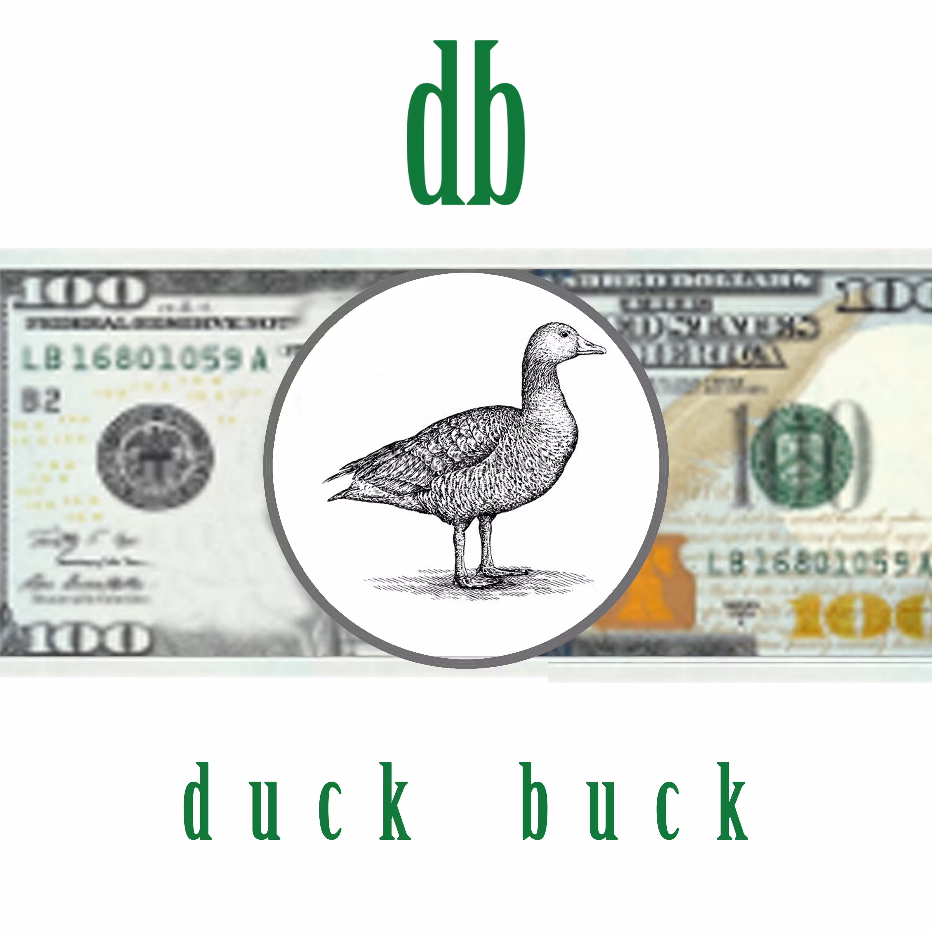DUCK BUCK