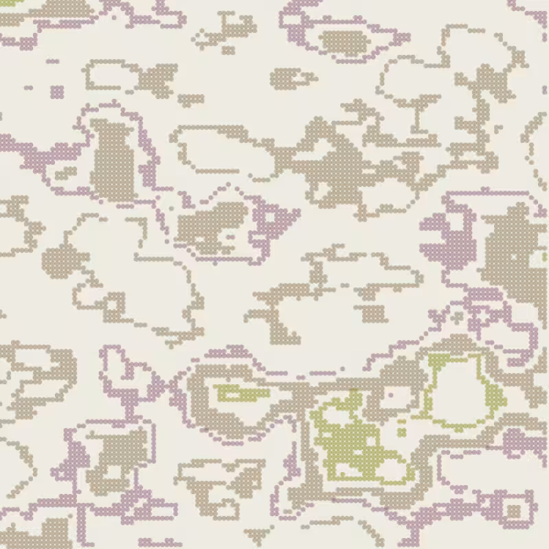 Petri 1500 #1027