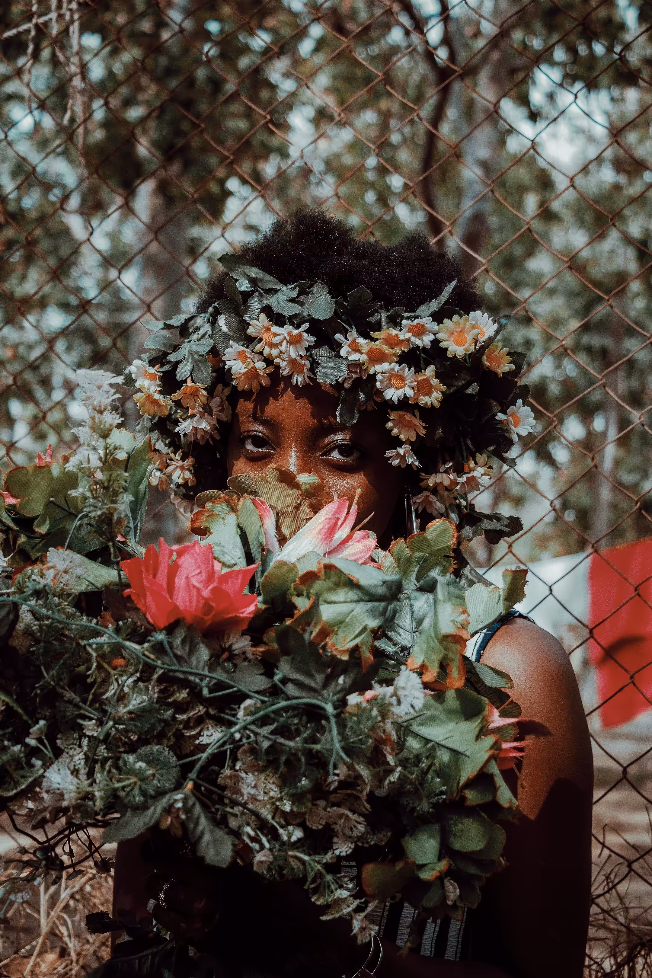 Ibara: An Afro Chronicle