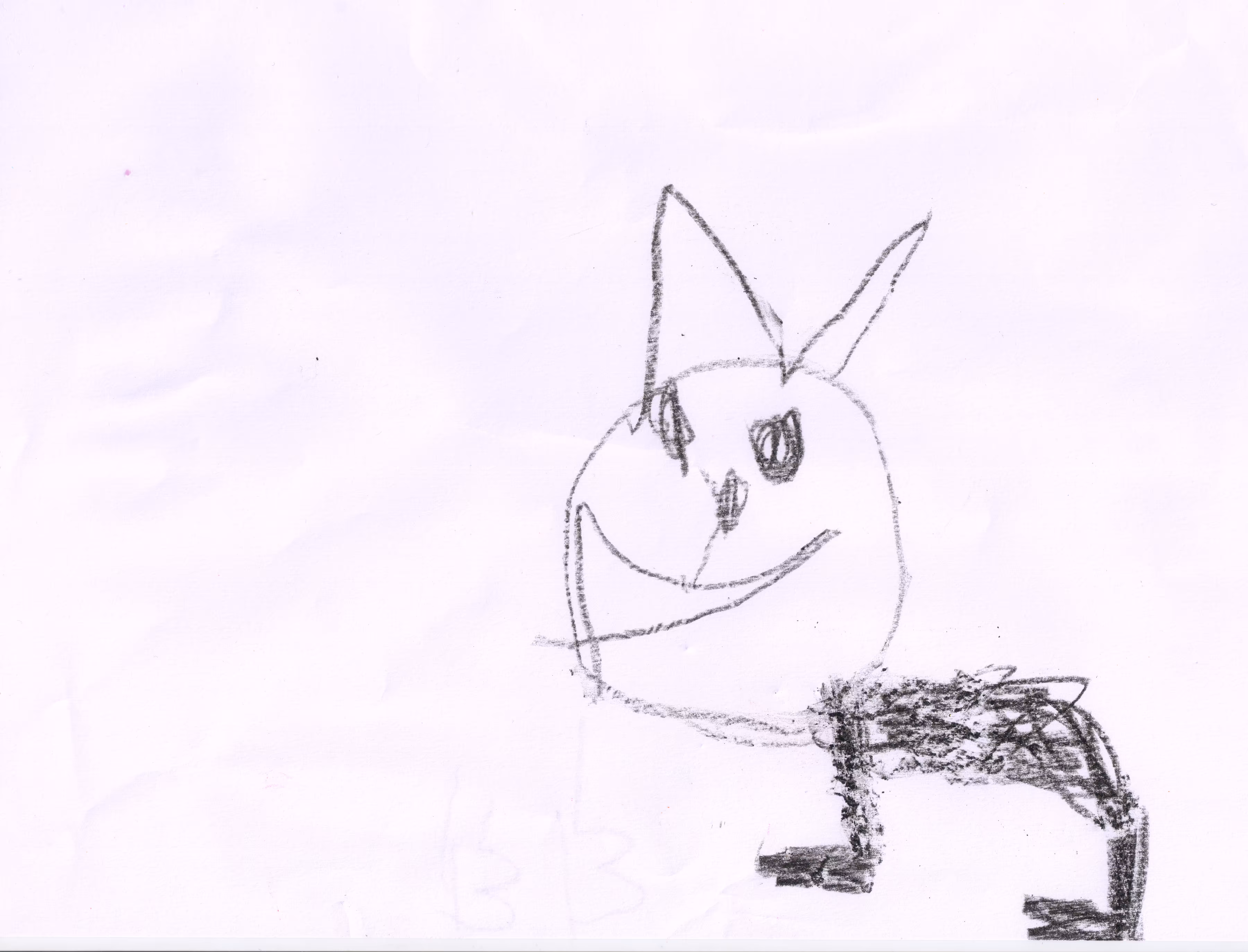 Gatto nero (Black Cat)