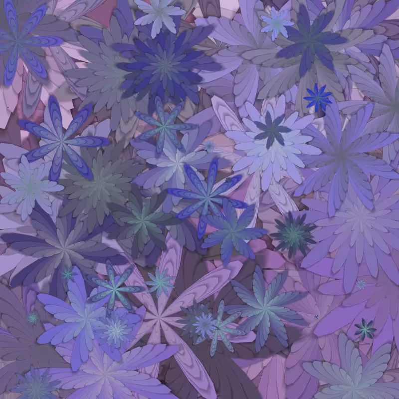 Flowerfield.  #25