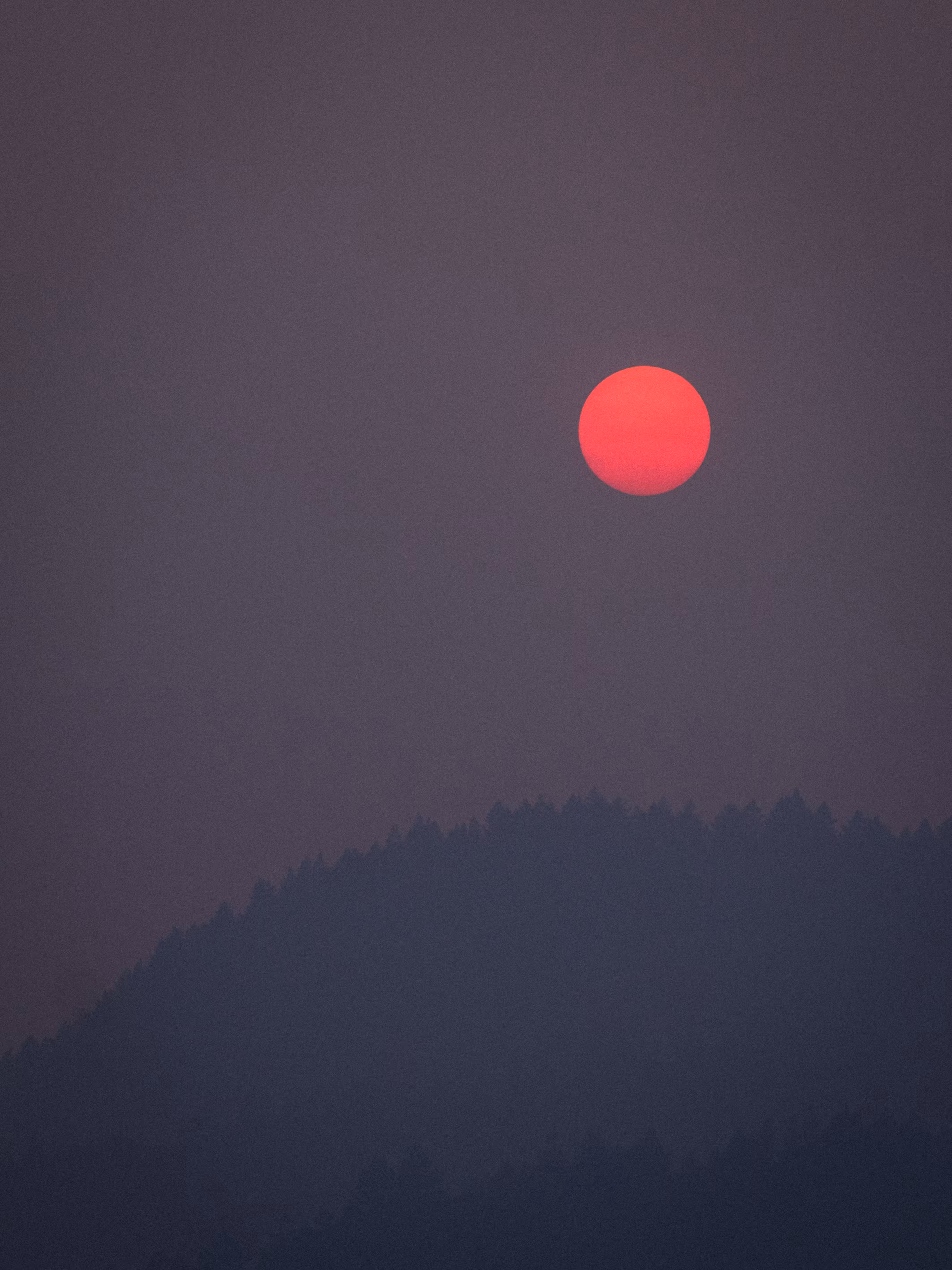 FIRE IN THE SKY