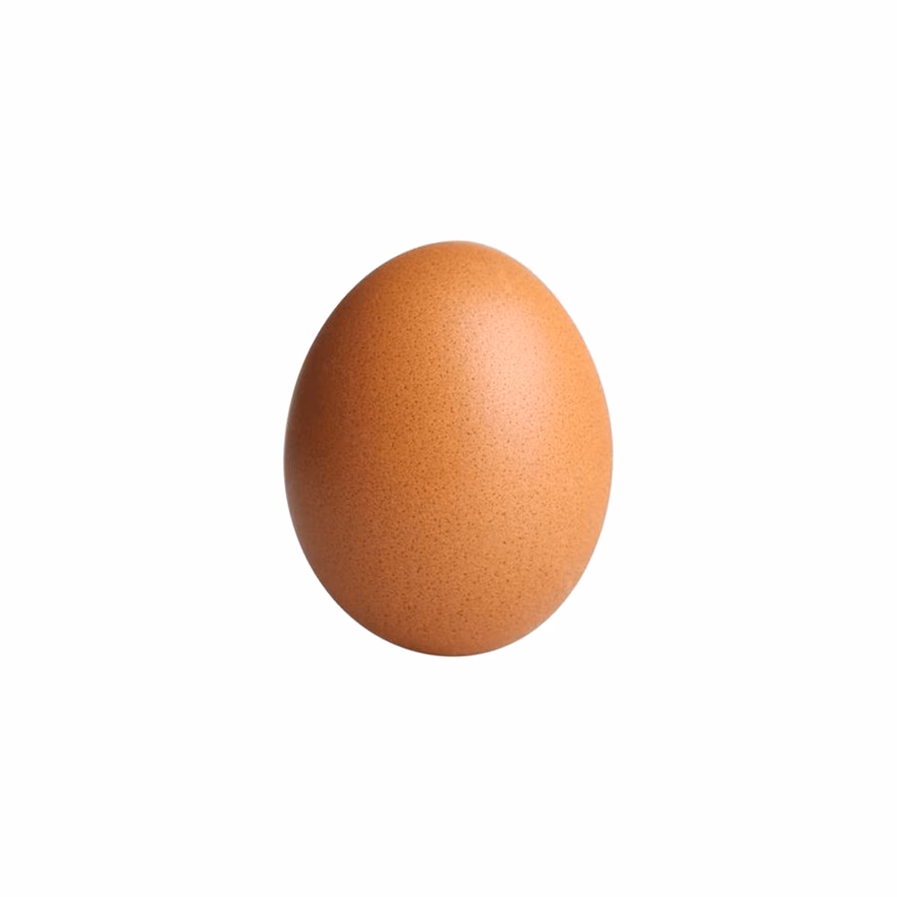 Egg