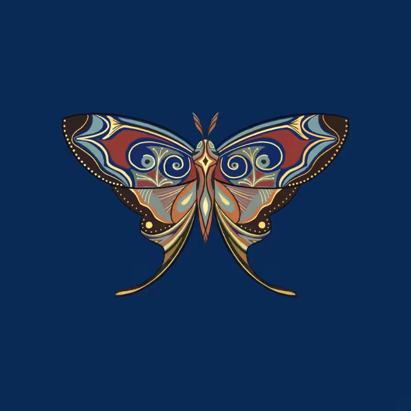 The Moth Experiment - Special Edition #10