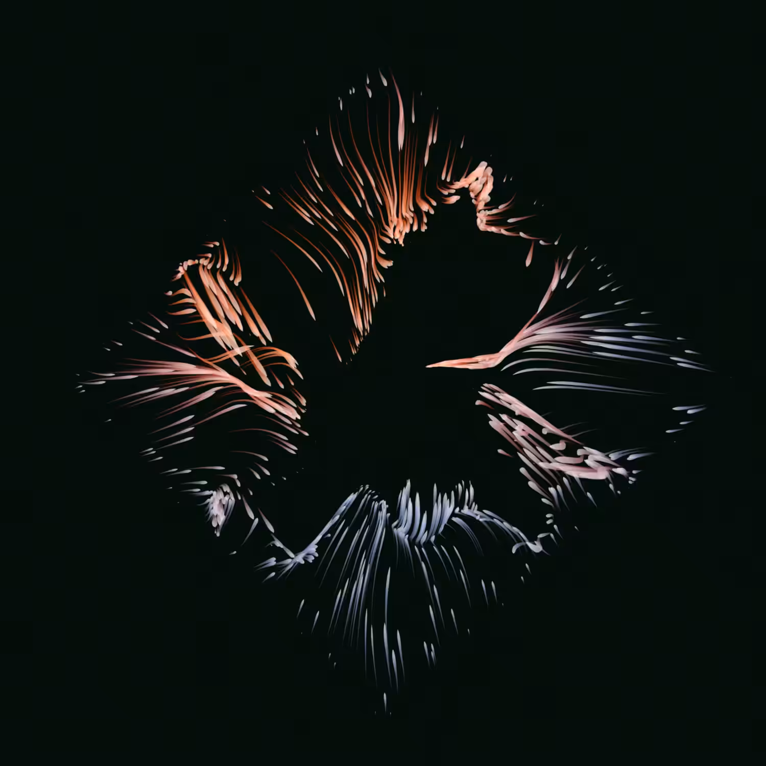 Vortex #1078