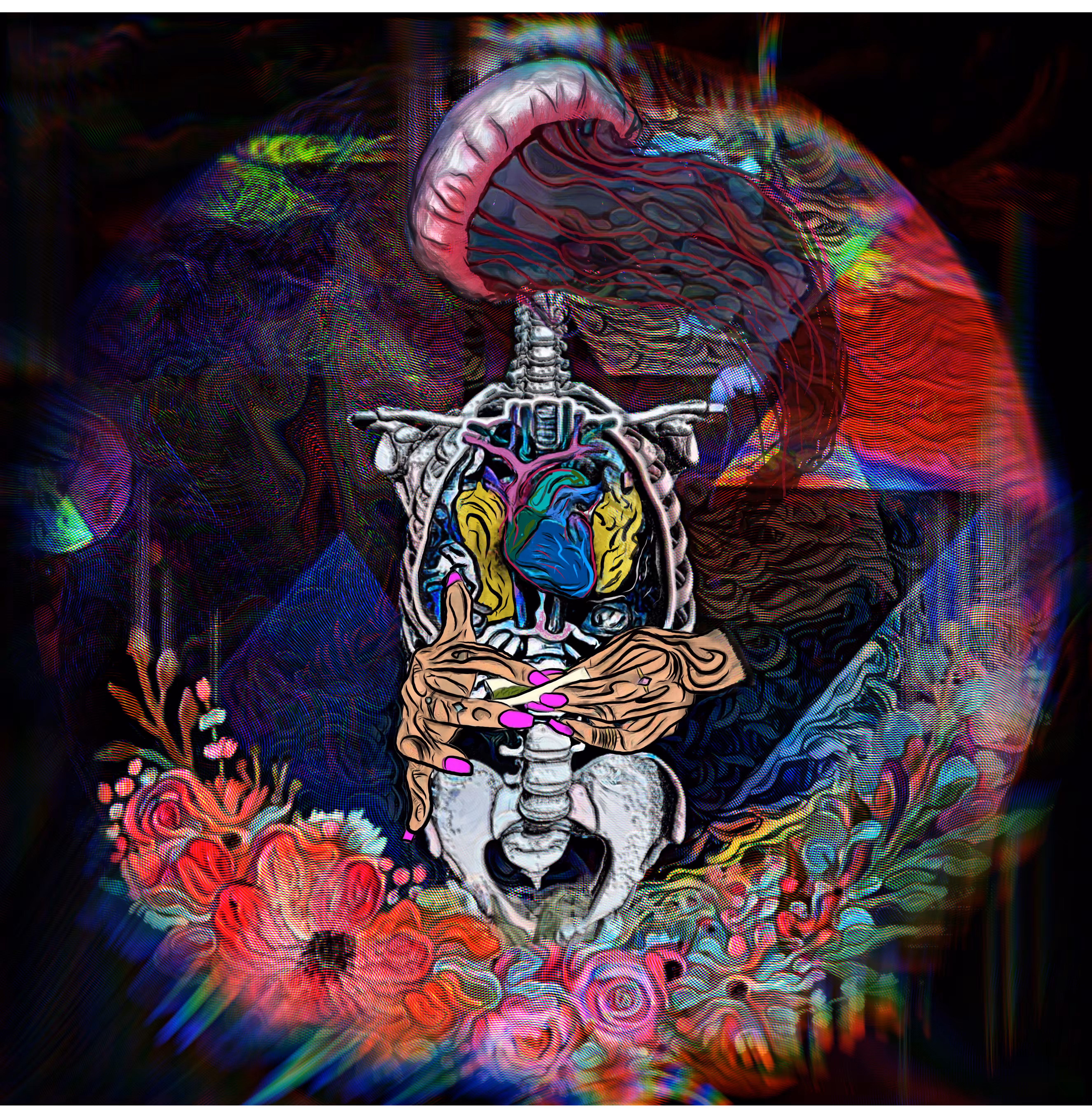 мy łυcı∂ ∂яєαмs