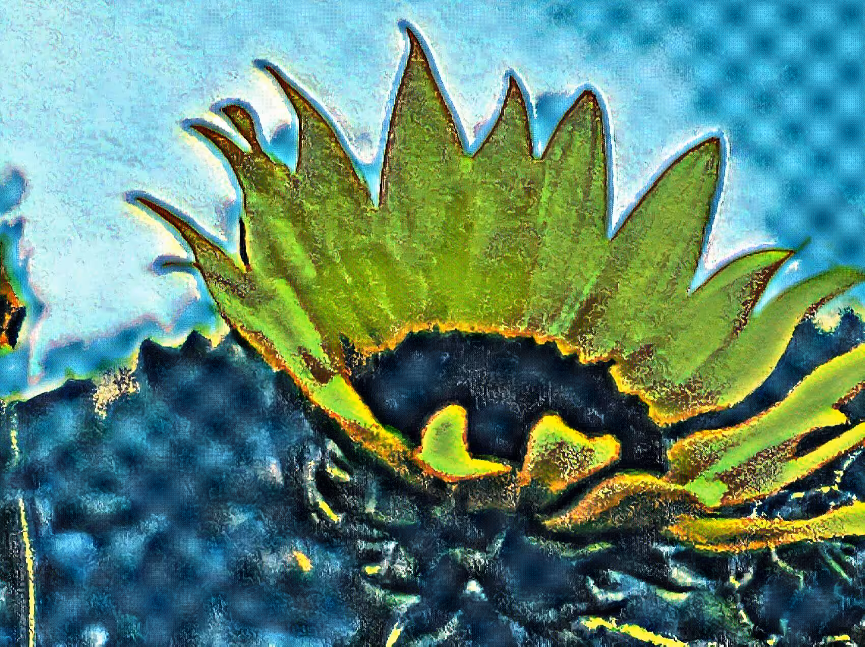 Sunflower Sonata