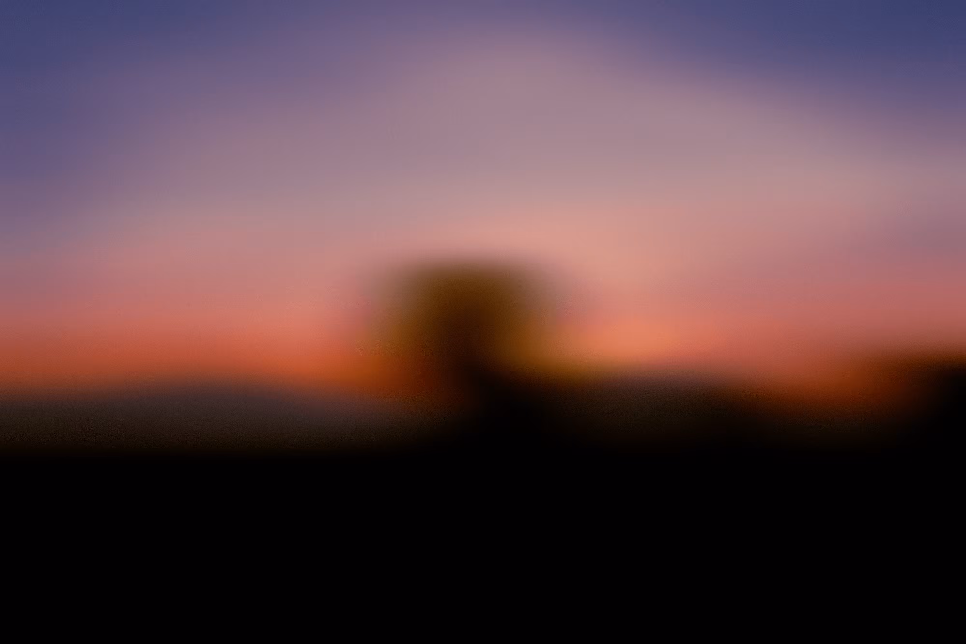 Light No.49