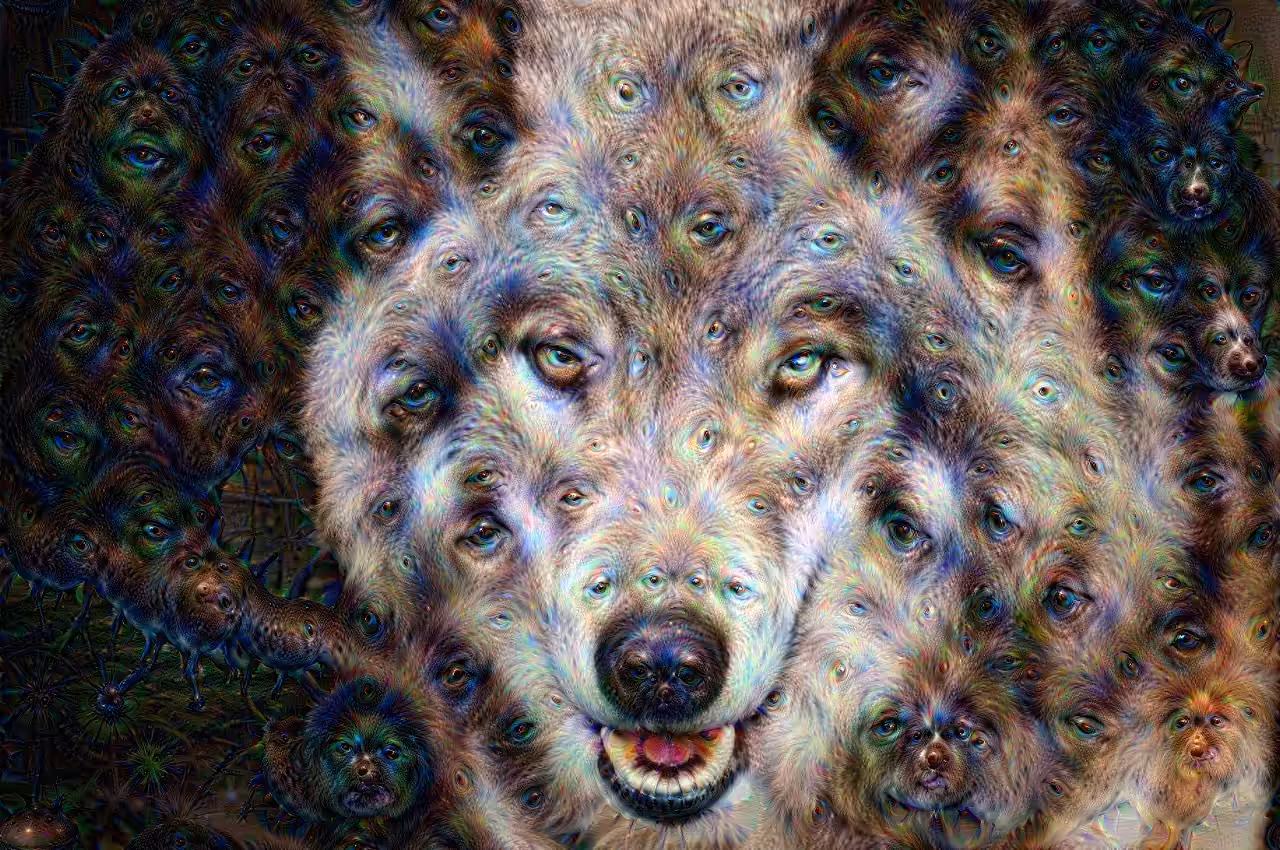 004 - Wolf's Eyes