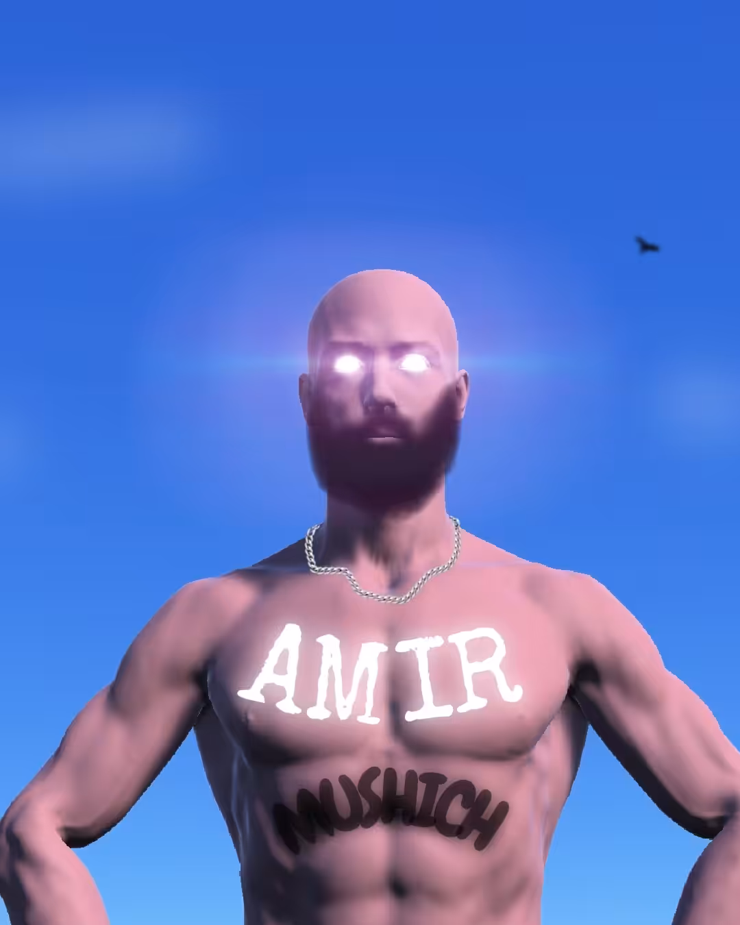 AMIR IN THE CLOUDS.