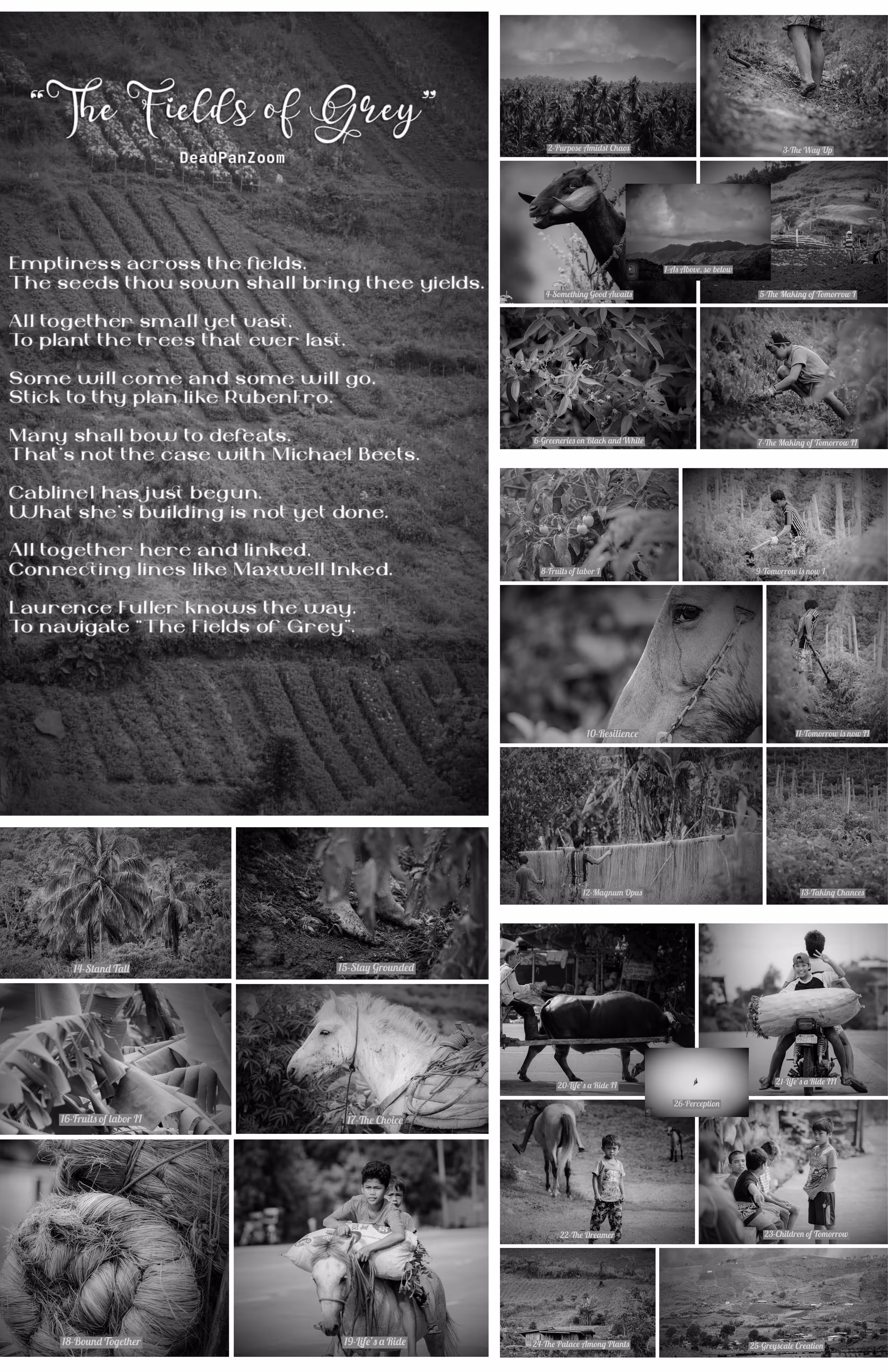 "The Fields of Grey Complete Set"