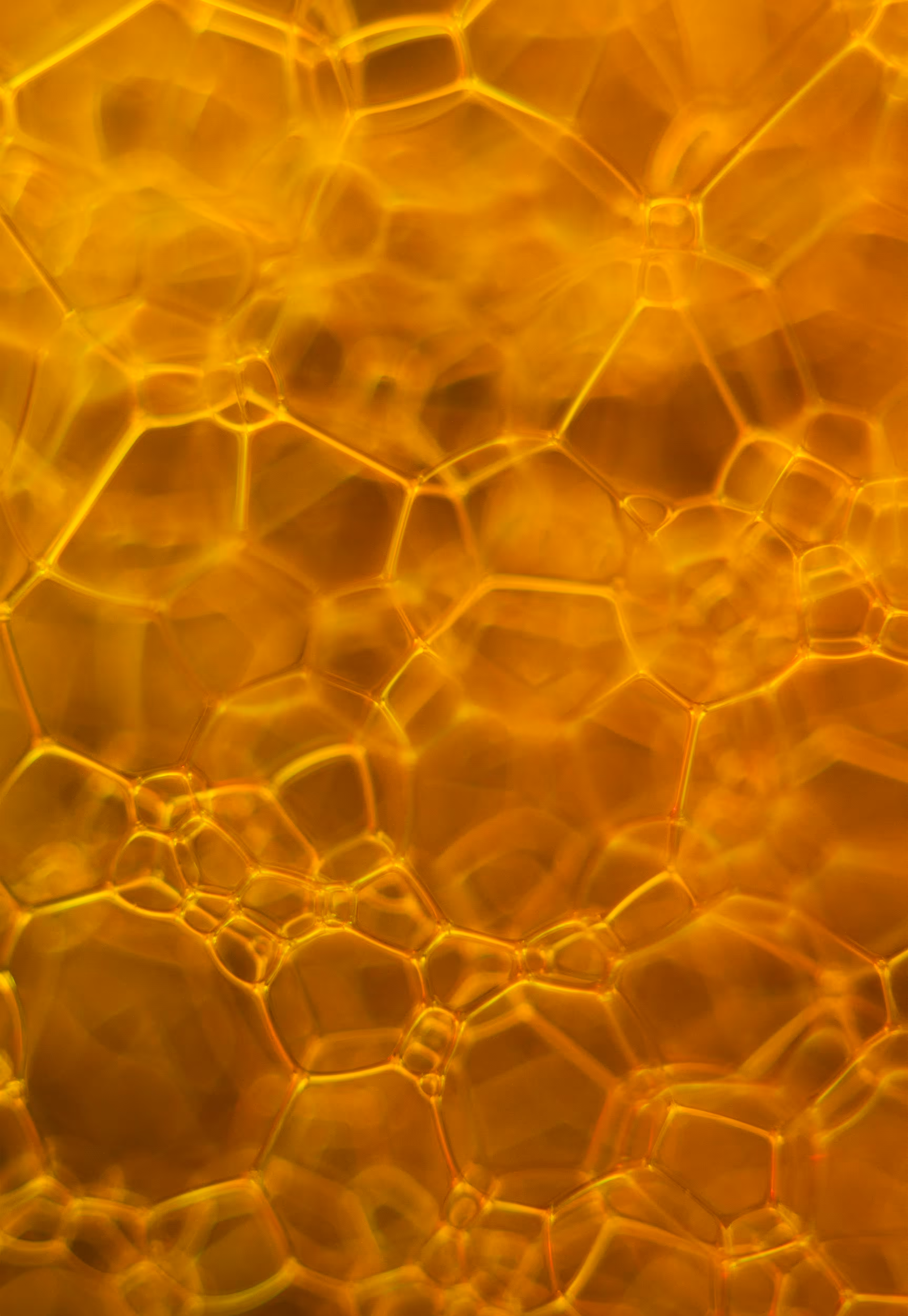 Abstract World of Soap Bubbles: #195 Bubbles