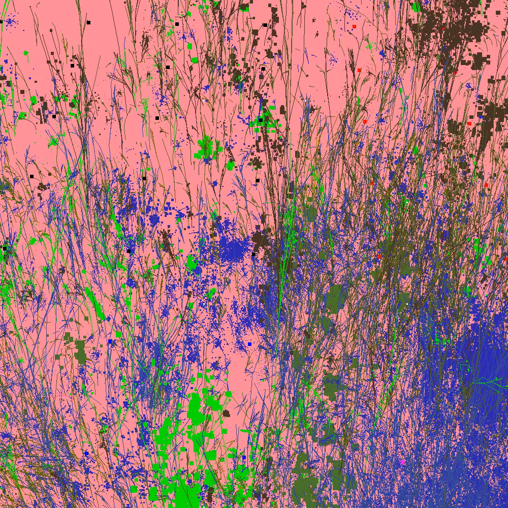 Infinite Garden: 50023 Flowers