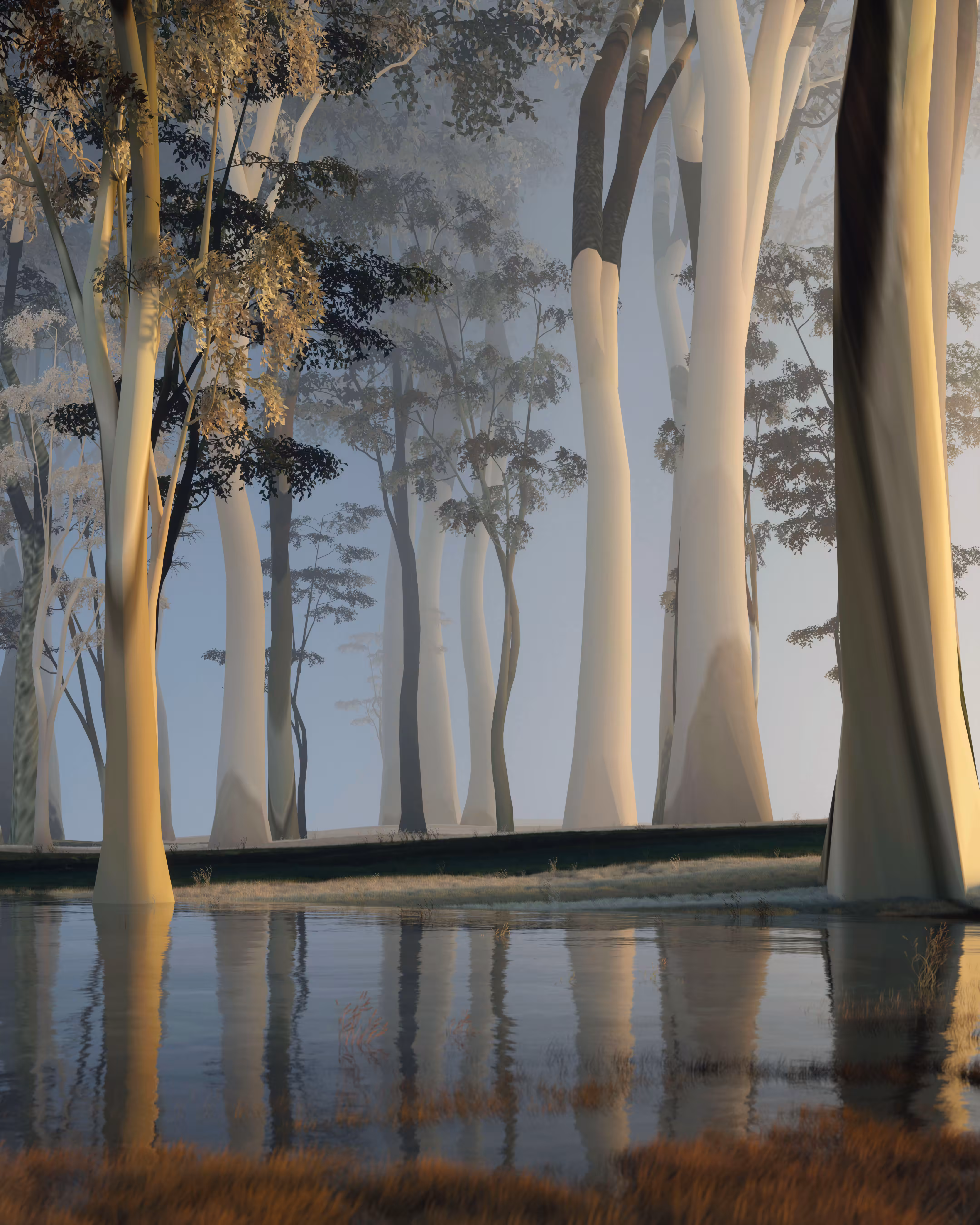 Forest at six