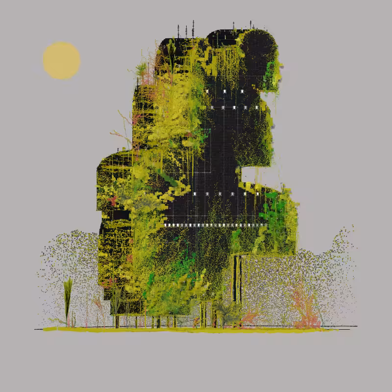 NS2: GROWTH #1