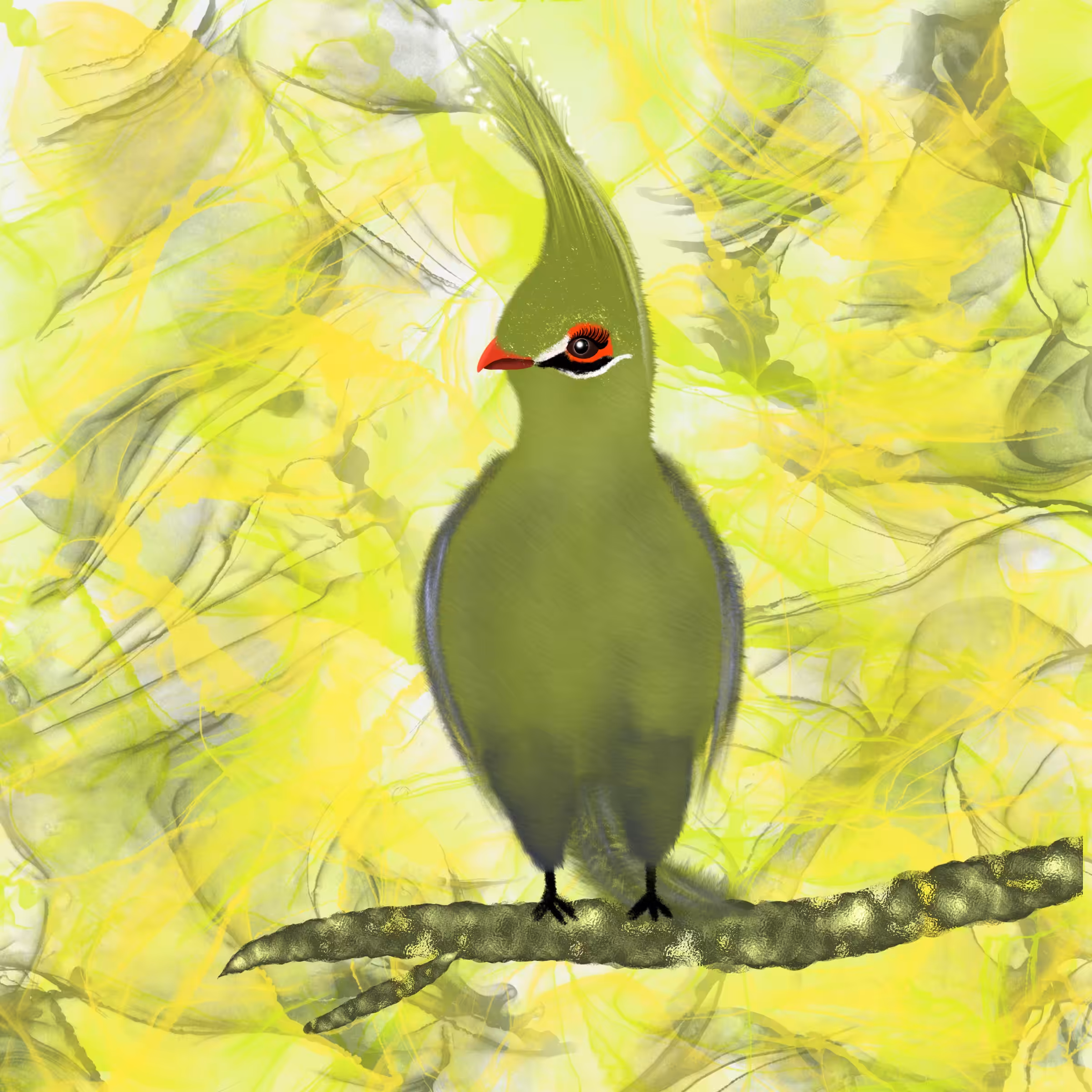 Turoco Bird