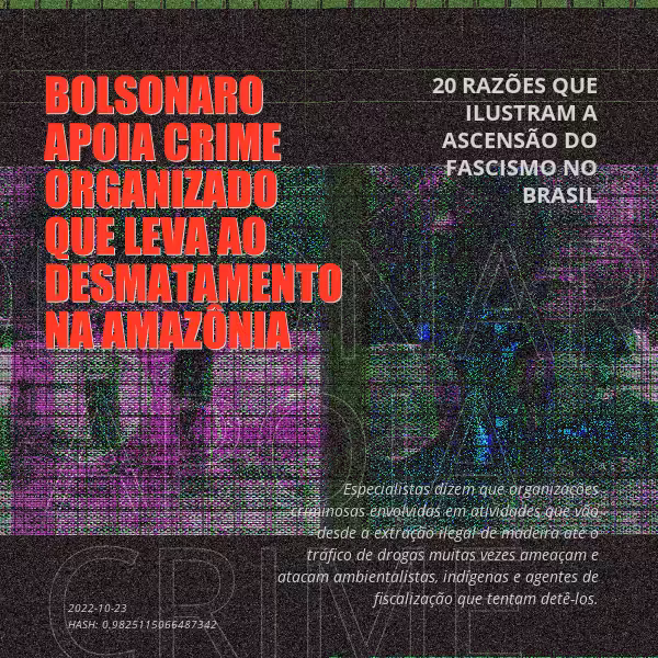 B4D - Brazil4Democracy #12