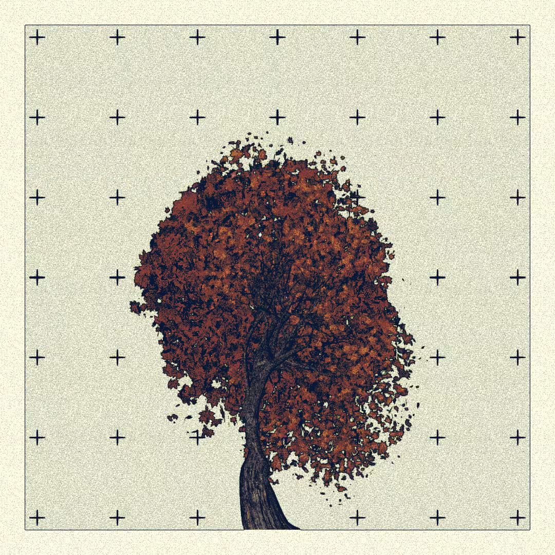 _argania[primaria] #165