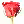 red rose 02